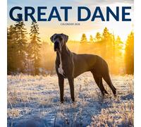 Great Dane Dog 2026 Calendar: Gentle Giants and Majestic Companions