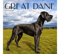 Great Dane Dog Calendar 2027