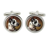 Great Dane Gemelli Reichert In Chrome Scatola