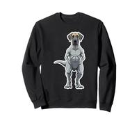Great Dane T Rex Dinosaursaur Divertente Felpa