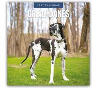 Great Danes - Deutsche Dogge 2027 - 16-Monatskalender: Original Red Robin Publishing Ltd-Kalender [Mehrsprachig] [Kalender]