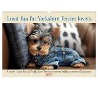 Great fun for Yorkshire Terrier lovers (Wall Calendar 2027 DIN A3 landscape), CA