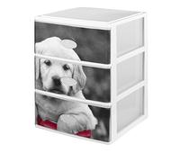Great Plastic Set 3 CASSETTI IMPILABILI Bianco Cristallo Anteriore Dicembre Cane 380X370X473 mm, Taglia Unica, 30 unità