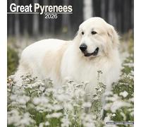 Great Pyrenees 2026 Calendar | Square Wall Calendar | Dog Breed Gift | Plastic Free Packaging | by Avonside Publishing