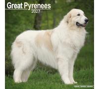 Great Pyrenees 2027 Calendar | Square Wall Calendar | Dog Breed Gift | Plastic Free Packaging | by Avonside Publishing