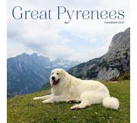 Great Pyrenees Calendar 2027: Dog Portraits and Breed Scenes