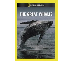 Great Whales [Edizione: Stati Uniti]