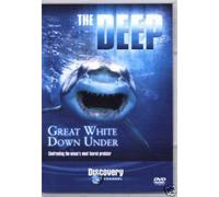 GREAT WHITE DOWN UNDER