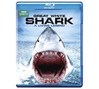 Great White Shark: A Living Legend