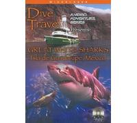 Great White Sharks-Isla de Guadalupe-Mexico