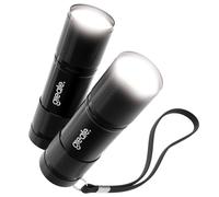 greate 2 x torcia LED piccola e luminosa per borsa a mano con batterie incluse - Mini torcia in alluminio alimentato a batteria da 175 lumen - Piccola torcia per bambini e adulti - Torch Light