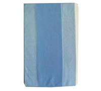 GreatRise 2 paia di collant da donna, 5 denari, trasparenti, a vita alta, in nylon, antistrappo, per festival Lolita, Celeste., Taglia unica