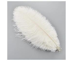 GreatRise Piume di struzzo naturali 15-20 cm, morbide piume di struzzo, piuma di struzzo plume, piume di uccello, piume per bricolage per matrimonio Halloween decorazioni natalizie decorazione da