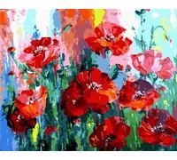 Grebesty Dipingi coi numeri, per adulti e bambini, idea regalo, colora con i numeri, fiori, papaveri, 40 x 50 cm, senza cornice