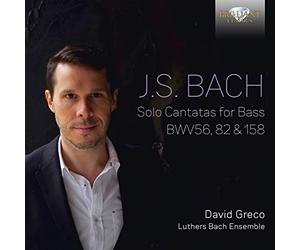 Greco David Bas - Solo Cantatas For Bass