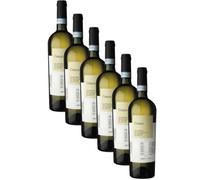 Greco Sannio DOP | Cantina di Solopaca | Vino Bianco Campania | 6 Bottiglie 75Cl | Offerta