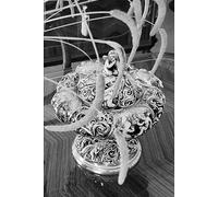 Greek Philosophy: A Discourse on Fear: From Myth to Logos A Korean-English bilingual debut Guided by the spirit of universal philosophical inquiry