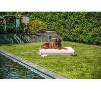 greemotion Letto per cani in polyrattan con cuscino, ca. 95 x 15 x 65 cm