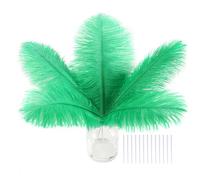 Green Craft - Piume di struzzo per cappelli da asilo | Green Craft - Set di 30 mini piume di struzzo da 15,2 a 20,3 cm, per lavori di scuola materna