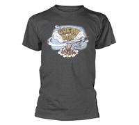 Green Day 'Dookie Vintage' Grigio T-Shirt - Nuovo