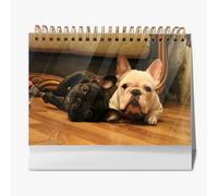 Green Dog Paws Bonecalendar 2026 calendari da scrivania per agricoltori