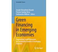 Green Financing in Emerging Economies: Empowering Small Enterprises for Sustainable Growth in Developing Countries