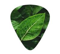 Green Leaf Nature - Set di 12 plettri per chitarra, inclusi 3 spessori di plettri per chitarre acustiche, ukulele e molto altro ancora.
