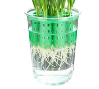 Green Onion Planter Box - Hydroponic Planters Reusable Clear | Green Onion Seedling Sprouting Kit | Clear Reusable Hydroponic Scallion Grower For Garden Home Indoor Kitchen Corner Patio
