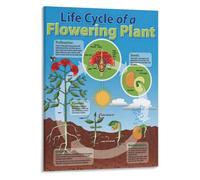 Green Organism Cycle Poster for Science Study Area Use