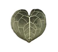 Green Philosophy Co. Anthurium Clarinervium - Cuscino a forma di foglia, colore: Verde cachi