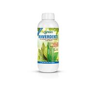 Green Ravenna Nutrimento rinverdente concime a Base di Ferro chelato DTPA previene e Cura 1 lt