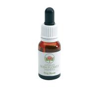 Green Remedies Dog Rose Bush Flower 15 Ml