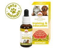 Green Remedies Training & Education Australian Bush Flower, 30ml