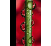 Green Stem with Droplets 6x9 Notebook Journal for Memries, Grocery list, to do list, School, Office | 120 Lined Pages