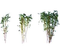 Green Stuff World Tall Shrubbery - Dark Green