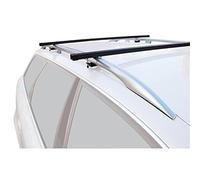 Green Valley 156599 Universale RELING portatutto N. 99 per Breaks, 2 aste