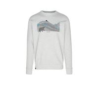GREENBOMB Sweater WILD ANIMAL BEARLAND grigio | L