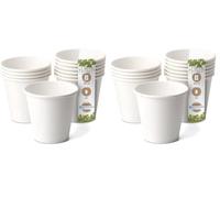GREENBOX Bicchieri di carta biologica, monouso, compostabili e biodegradabili, 50 pezzi, 150 ml, 6oz (Confezione da 2)