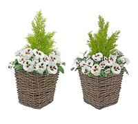 GreenBrokers A1014-02 - Set di 2 fioriere artificiali per verande e conifere/cedro, colore: Bianco