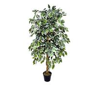 GreenBrokers Albero artificiale di Ficus variegato di alta qualità, 160 cm, pianta in vaso, verde