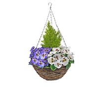 GreenBrokers Grande Cesto sospeso in Finta Seta Viola e Bianco con Viole del Pensiero e conifere in Rattan, Ideale per casa, Lavoro, Vita all'aperto, 67 cm