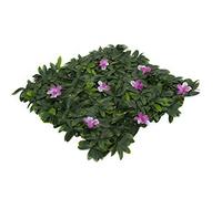 GreenBrokers - Siepe Artificiale da Parete Verde (segmento Individuale) - Giardino Verticale Stabile UV