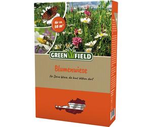 GREENFIELD prato fiorito