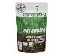 Greenmood Oklahoma 5 Kg miscuglio per tappeto erboso super resistente American Q