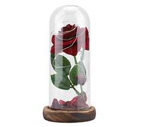 Greensen Rosaper Sempre, Rosa Stabilizzata con Luce LED in Copertura in Vetro e Base in Legno Romantico per SanMatrimonio Festa della Mamma Anniversario Natale (Rosso Brillante)