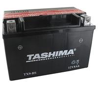 Greenstar 11541 Batteria AGM YTZ10S