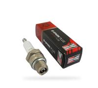 Greenstar, 11558, Greenstar 11558 Candela Champion L86C F873