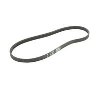 Greenstar 11604 - Cinghia in poli-V, 610 x 9,36 mm, 4 denti