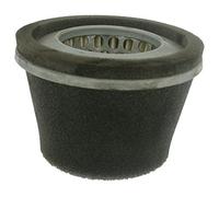 Greenstar 5696 Filtro aria conico con prefiltro per Robin 58 mm