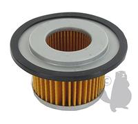 Greenstar 5956 - Filtro aria adattabile Suzuki per M120X/M123X